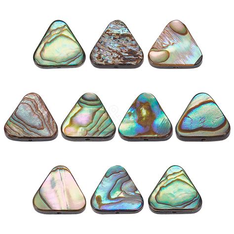 Wholesale BENECREAT 10Pcs Natural Abalone Shell Paua Shell Beads