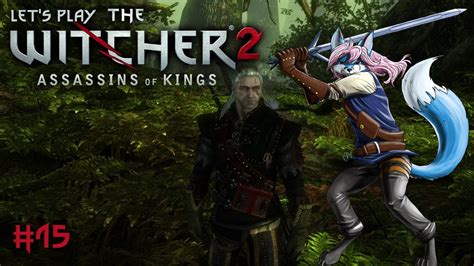 Let S Play The Witcher Assassins Of Kings Revisited Der Wald