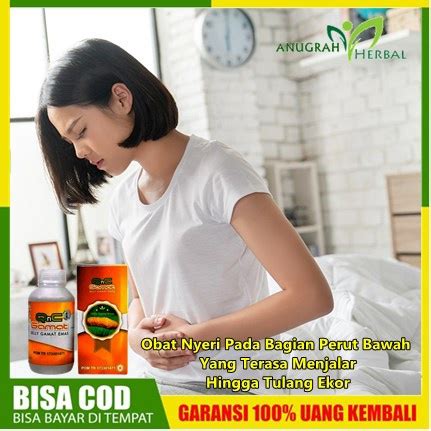 Jual Obat Nyeri Pada Bagian Perut Bawah Yang Terasa Menjalar Hingga