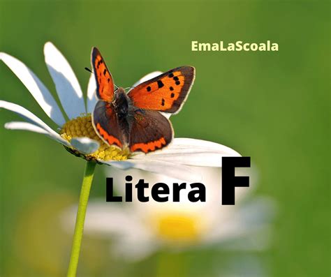 litera f Archives - EmaLaScoala