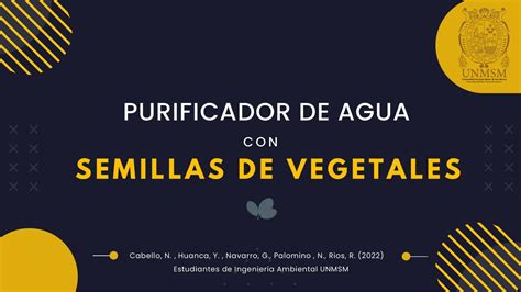 Purificador De Agua Con Semillas Rosa Cabello Udocz