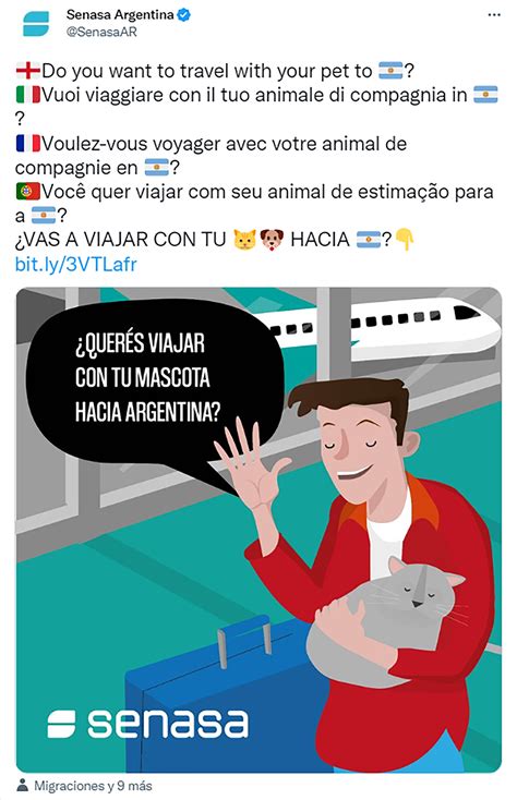 Vacaciones Con Mascotas Cuáles Son Los Trámites Necesarios Para Viajar Al Exterior E Ingresar