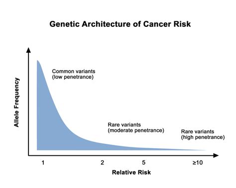 Genetics Of Breast And Gynecologic Cancers Pdq® Pdq Cancer