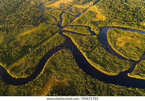 Amazon Rainforest Brazil Stock Photo (Edit Now) 704671762