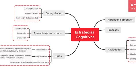 Actividades Unadm Mapa Conceptual Estrategias Cognitivas