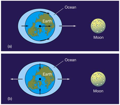 A Moon Appreciation Blog Lets Take A Deep Dive Into All There Is To