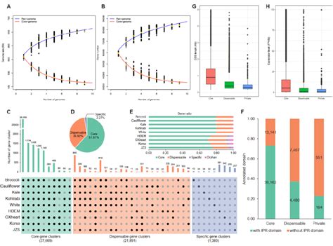 Pan Genome Analyses Of Nine B Oleracea Genomes A Pan Genome And