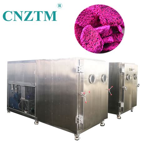 Industrial Freeze Dryed For Pineapples Dragon Fruit Vegetable Machine