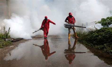 Cuidado Con La Etapa Previa Al Shock En Ni Os Con Dengue Hemorr Gico