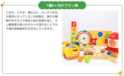 大満足！トイサブのおもちゃってどうなの？初めての利用で感じた口コミレビュー│子供の習い事｜おもちゃ｜室内遊具はなまるののの