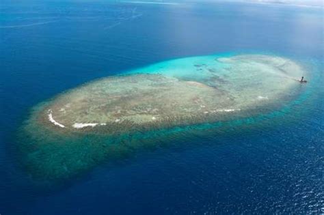 Scientists in New Caledonia hope for best after coral bleaching