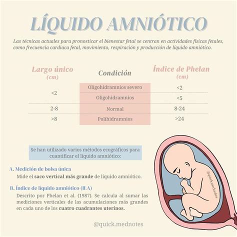 Líquido Amniótico Quickmednotes Udocz