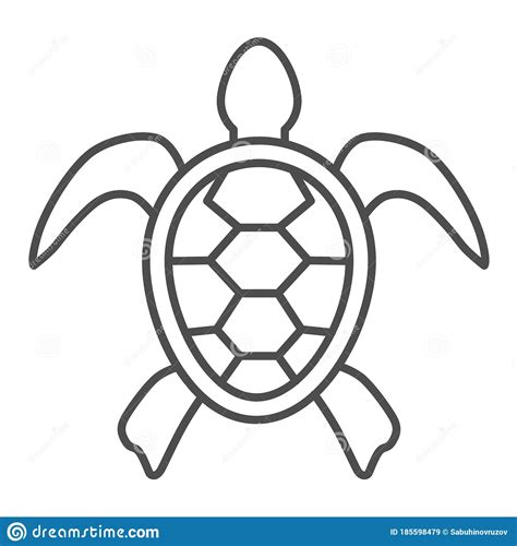 Sea Turtle Thin Line Icon, Ocean Animals Concept, Tortoise Sign on ...