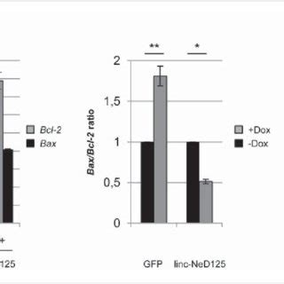 Role Of Linc Ned In Apoptosis A Left Panel Qrt Pcr Analysis Of