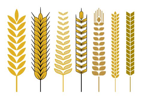 Wheat Stalk Vector 117092 Vector Art at Vecteezy