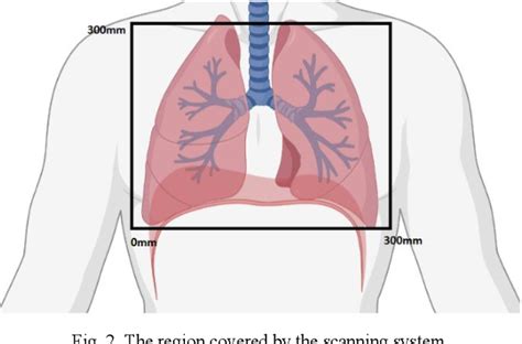 Figure 1 From Lungs Fluid Accumulation Detection Using Microwave
