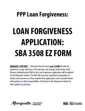 Fillable Online LOAN FORGIVENESS APPLICATION SBA 3508 EZ FORM Fax