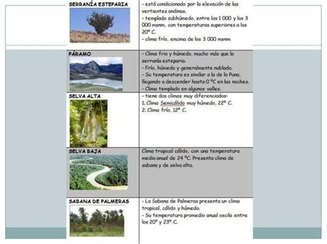 Ecosistemas En El Peru Ppt