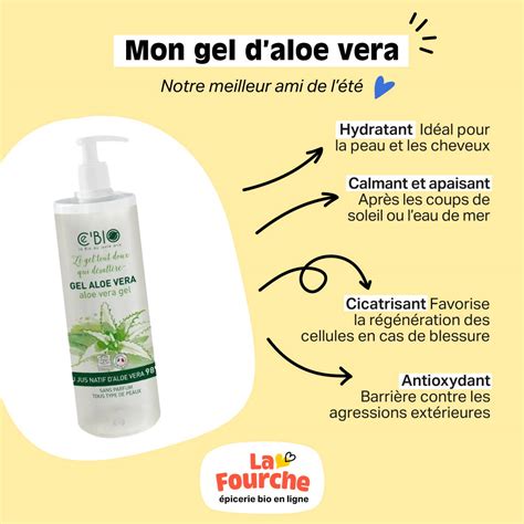 Aloe Vera Le Guide Dutilisation De La Plante Miracle