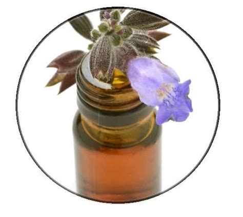 Pacific Scents Sage Clary Essential Oil Organic 10ml Buynatural Marketplace