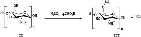 Scheme 2 Synthesis Of Sulfonated Chitosan Download Scientific Diagram