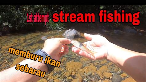 Stream Fishingmemburu Ikan Hampalasebarau Youtube