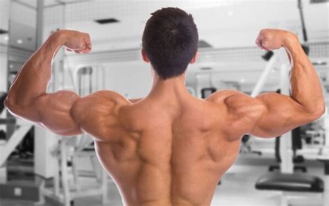 Does Flexing Build Muscle 5 Benefits Of Tensing Your Muscles