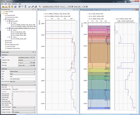 Well Log Plots Resinsight