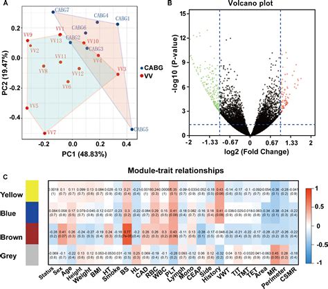 Frontiers Weighted Gene Co Expression Network Analysis For Rna