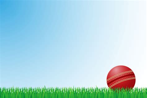 cricket grass field vector illustration 509201 Vector Art at Vecteezy