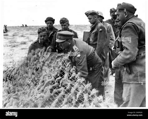 The Polish Army In The Western Desert Campaign General