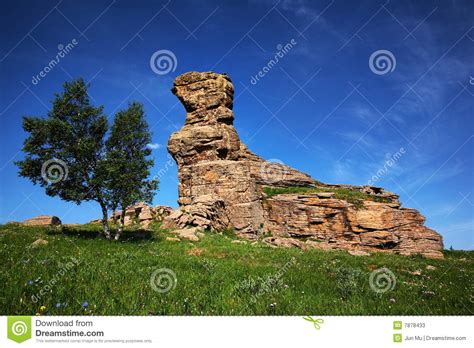 Grassland Stone Forest Stock Image Image Of Backlit Background 7878433