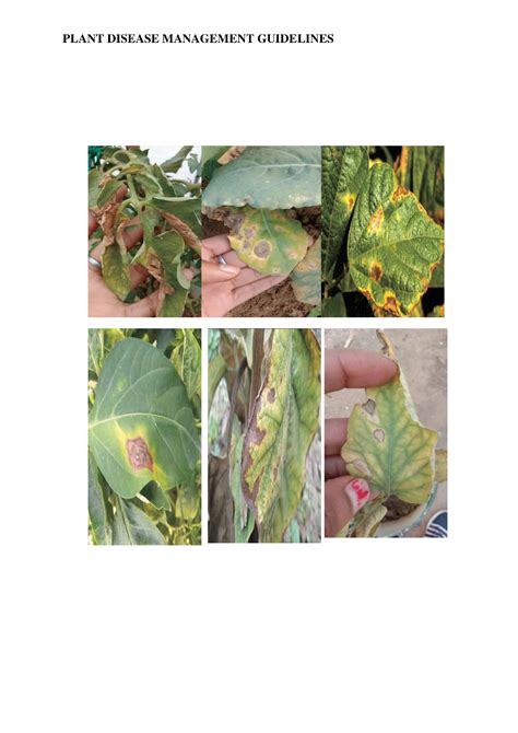 Plant Disease Management Guidelines