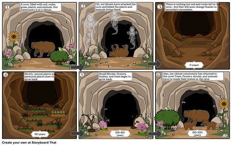 Secondary Succession Storyboard By Tilliec