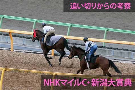 Nhkマイルc・新潟大賞典の追い切りからの予想・考察 サニーの馬券に直結する話とくダネkeiba