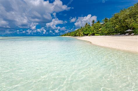 Premium Photo Paradise Sunny Beach White Sand Coco Palms And