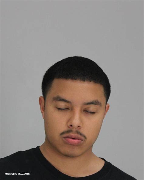 Sanchezsaucedo Damian Dallas County Mugshots Zone