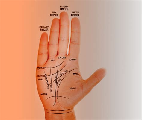 The Significance Of The Money Line In Your Palm Instaastro