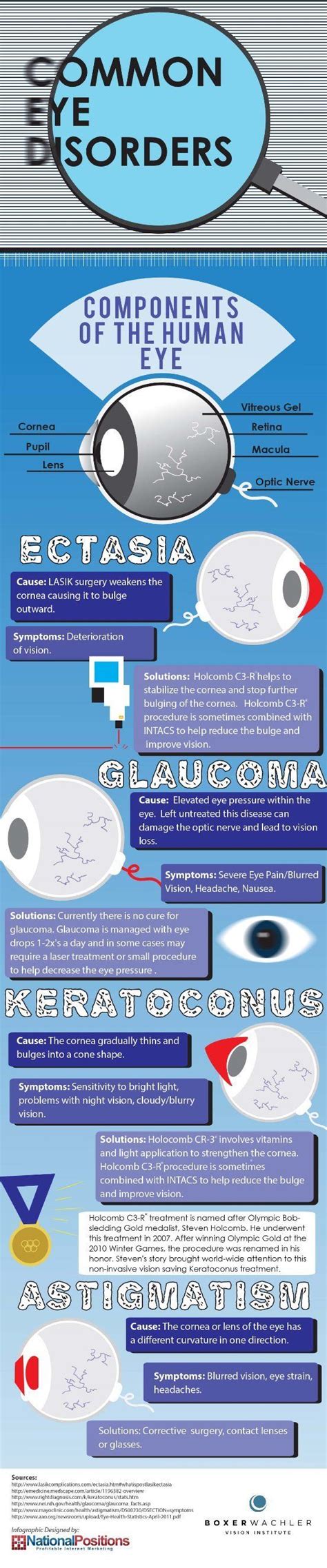 Common Eye Disorders Fisiología Salud Visual Salud Y Belleza