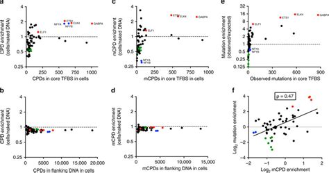 Elevated CPD Lesions And Mutation Density Are Associated With ETS TFBS