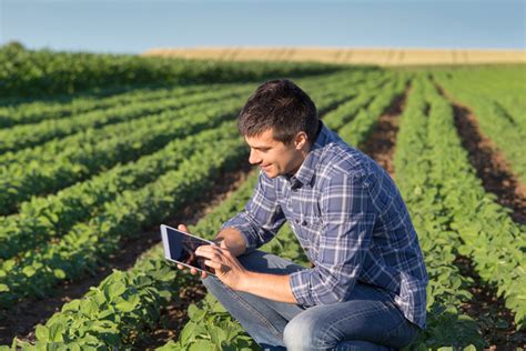 Cosa Deve Fare Un Giovane Agricoltore Se Subentra In Un Azienda Con