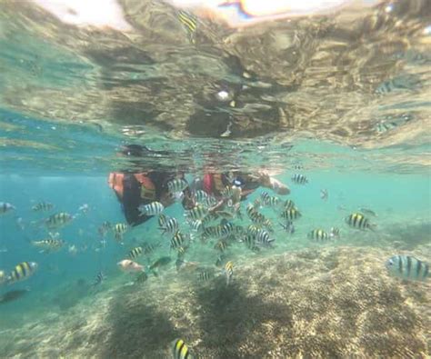 Lombok Tour Di Snorkeling Delle Isole Gili Nanggu Sudak E Kedis