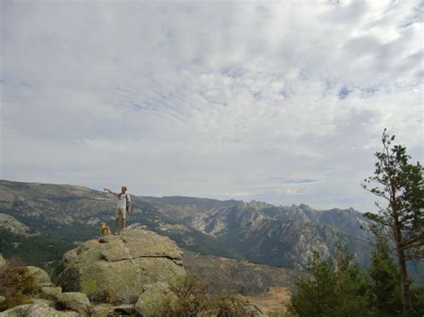 Da Madrid Escursione Di Un Giorno Alla Sierra De Guadarrama GetYourGuide