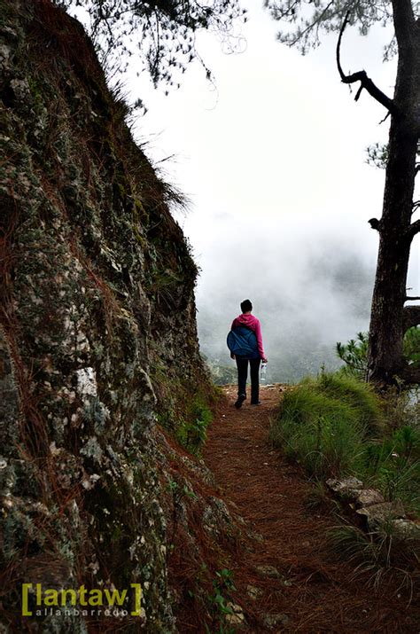 Lantaw - Philippines Outdoor and Travel Photos: mt pulag ambangeg trail ...