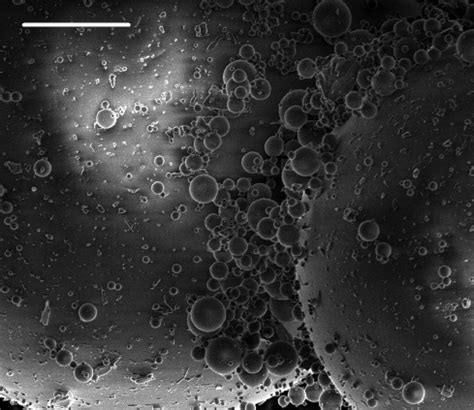 Scanning electron microscopy picture of the granular medium after a ... 