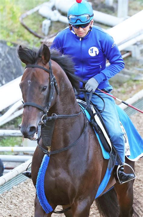 【エプソムc】重賞2勝の実力馬ヴェルトライゼンデは2枠4番 前走大敗から巻き返し期すレーベンスティールは3枠6番 枠順決定 Umatoku