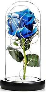 Amazon Blue Rose Lamp SWEETIME Real Preserved Rose In Glass Dome