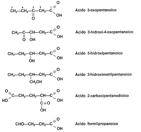 Qu Mica En El Cch Nomenclatura Iupac