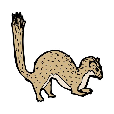 Stoat — Stock Vector © Lineartestpilot 21396501