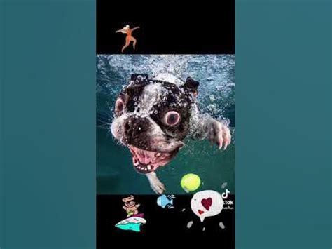 Смешные моменты/Модель под водой-лучшие фото сезона #shorts #short # ...